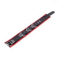 Red Leather Leren halsband met 3 D-ringen - Rood/Zwart, afbeelding 3