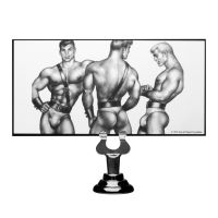 XR Brands Buttplug, afbeelding 2