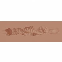 XKIN Raw - The Grip - Kleine TPE masturbator - 137g - Lichtbruin, afbeelding 4