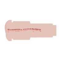 XKIN Metallix - Ryder Cain - Torch masturbator - Kont - 570g - Rood/Huidskleur, afbeelding 4