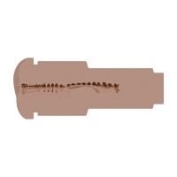 XKIN Metallix - Don Phoenix - Vibrerende torch masturbator met zuigkracht - Kont - 660g - Rood/Lichtbruin, afbeelding 5