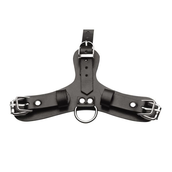 XR Brands Pup - Puppy Play Masker met Ademende Ball Gag