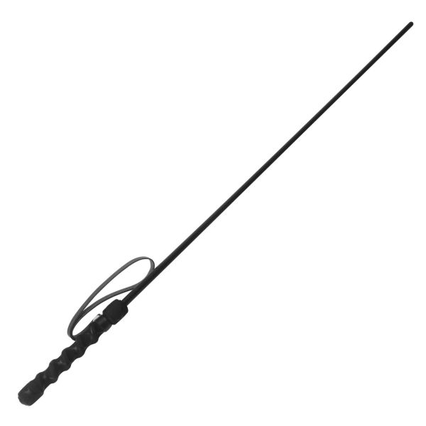 XR Brands Intense Impact Cane - Zwart