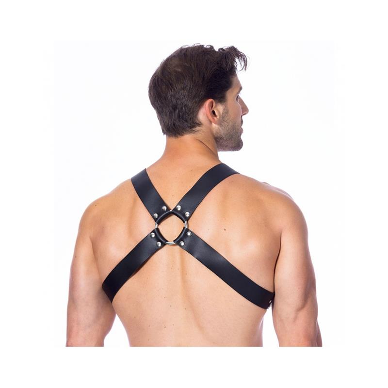 Adjustable Leather Harness & Buckles