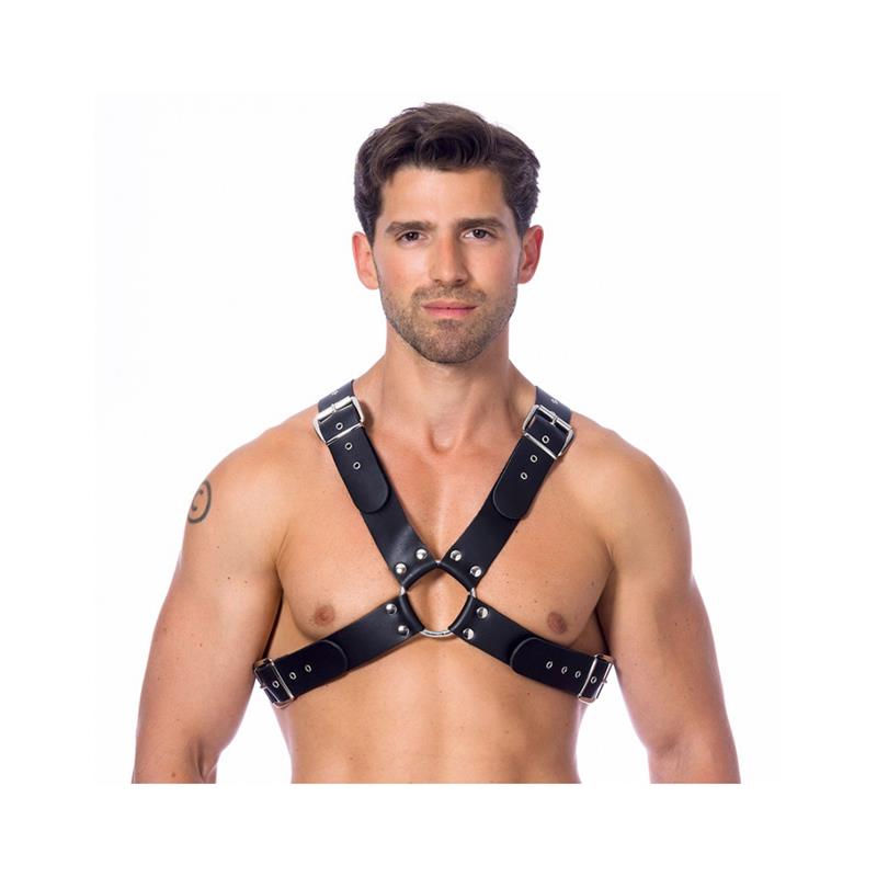 Adjustable Leather Harness & Buckles