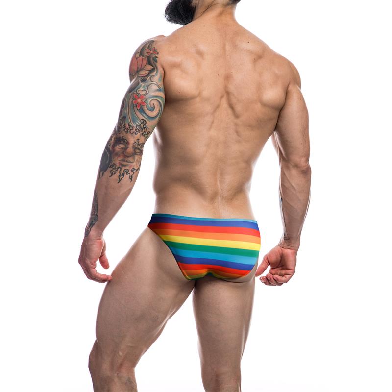 Low Rise Bikini Brief Rainbow