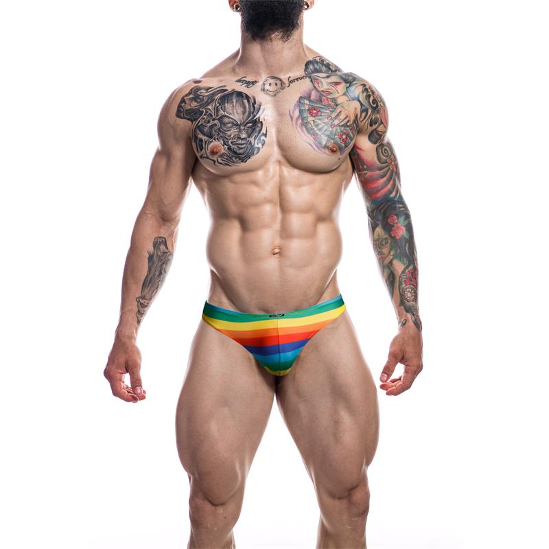 Low Rise Bikini Brief Rainbow