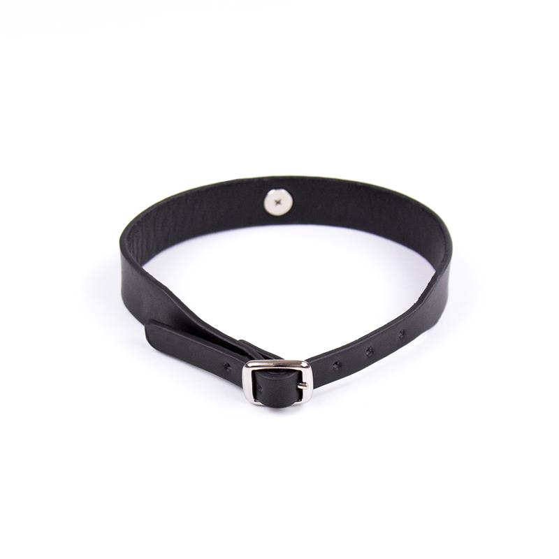 Collar & Bell Adjustable 43cm Black