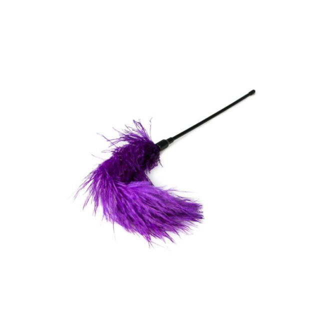 Purple Feather Tickler